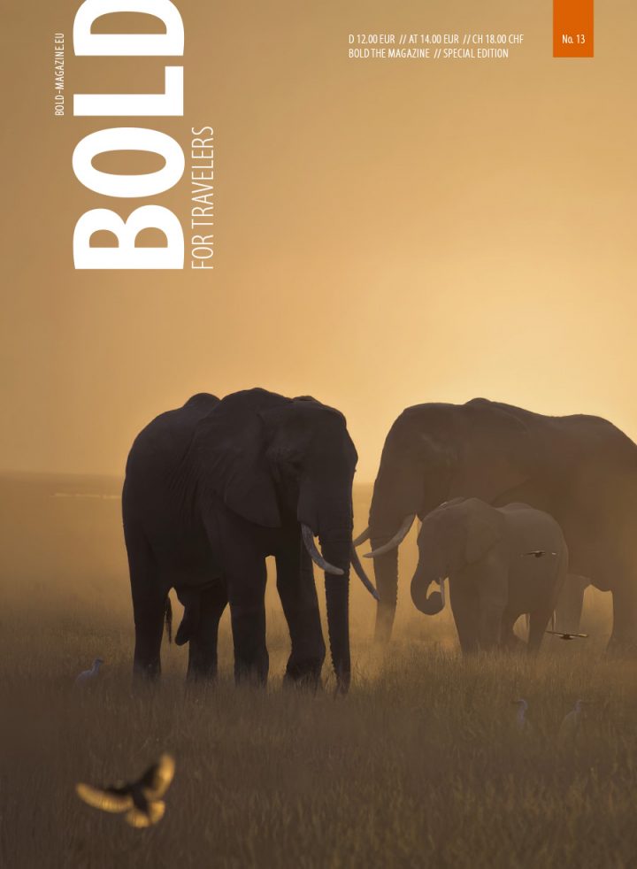 BOLD TRAVEL No. 13