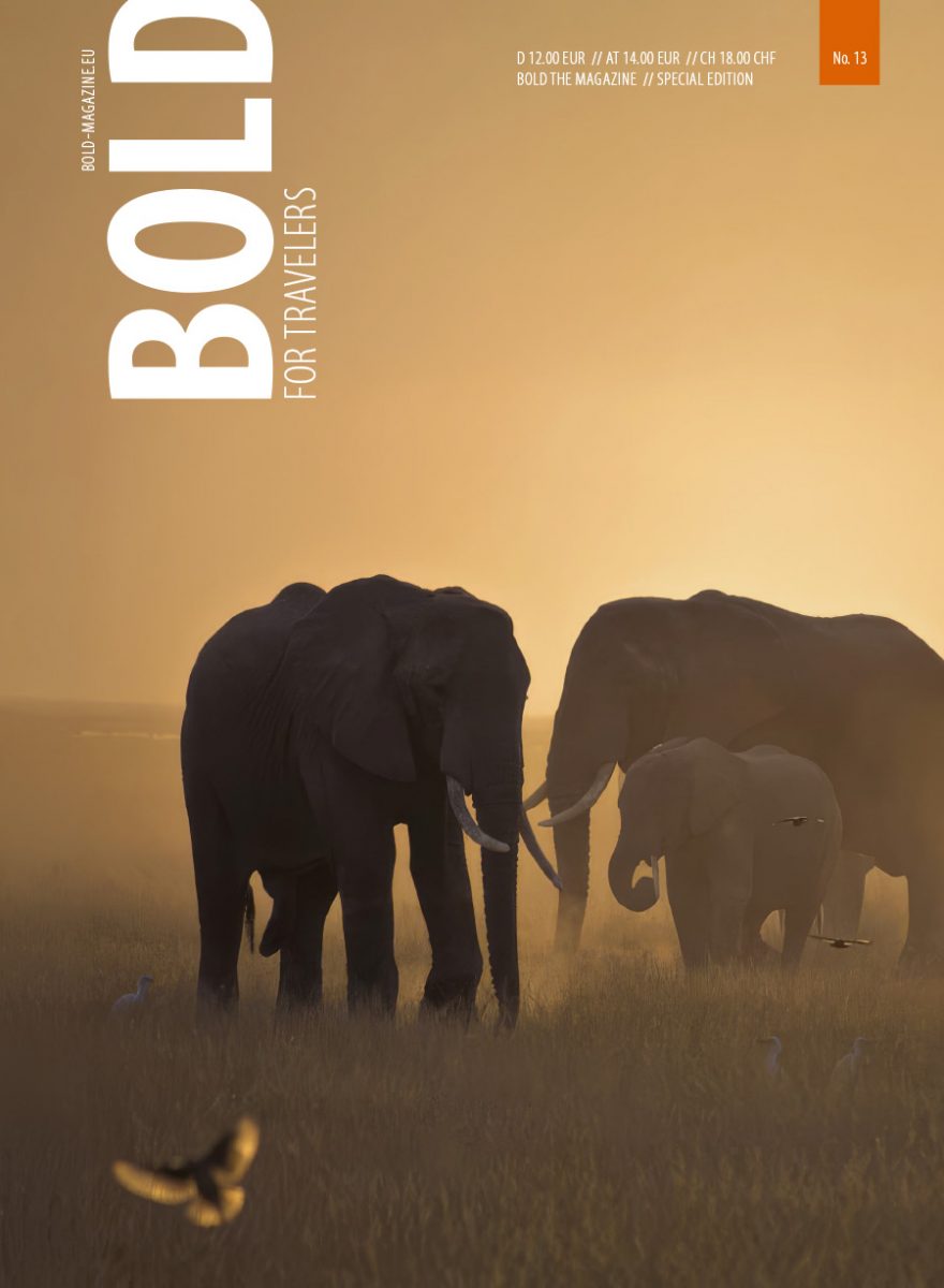 BOLD TRAVEL No. 13